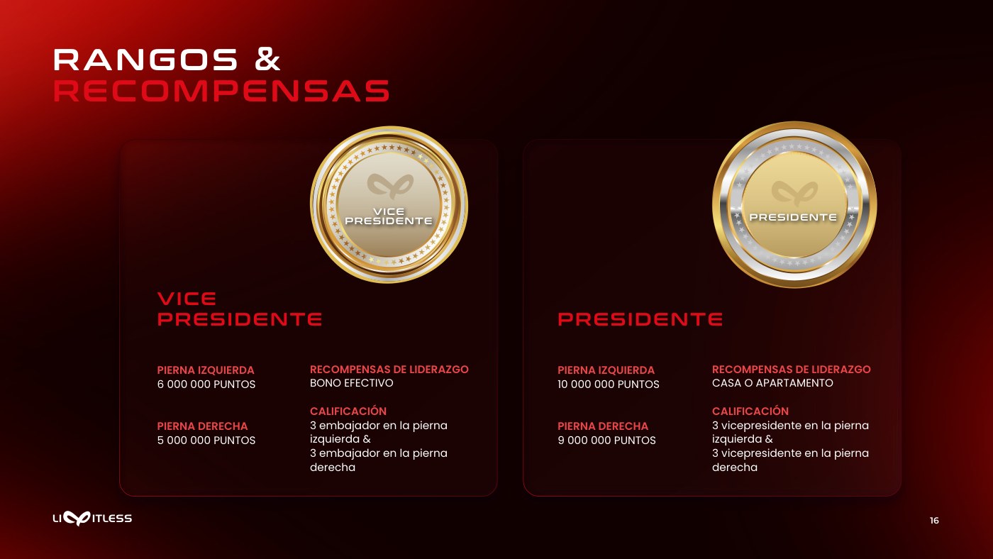 Two gold medals over black for the Vicepresidente and Presidente ranks